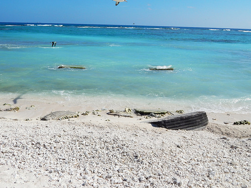 Figure 42: Possible Gun Position (Property No. E-7, E-8), Midway Atoll, Eastern Island (April 16, 2015)