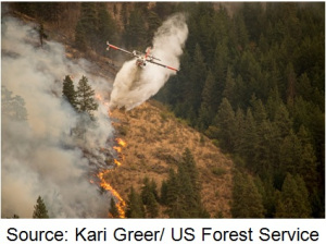 wildland thumbnail 2