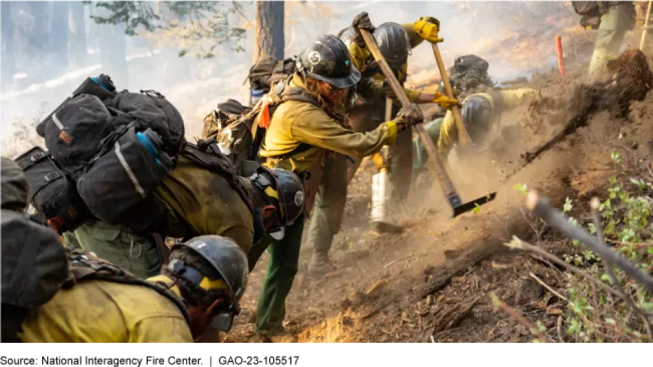 Photo showing federal wildland firefighters in their firefighting gear working to slow a fire in a forest.